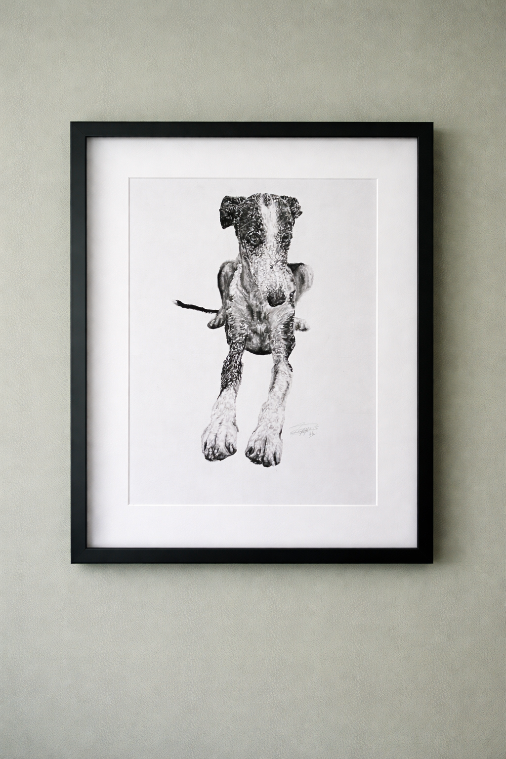 Charcoal Art by Poppy- personalised pet portraits