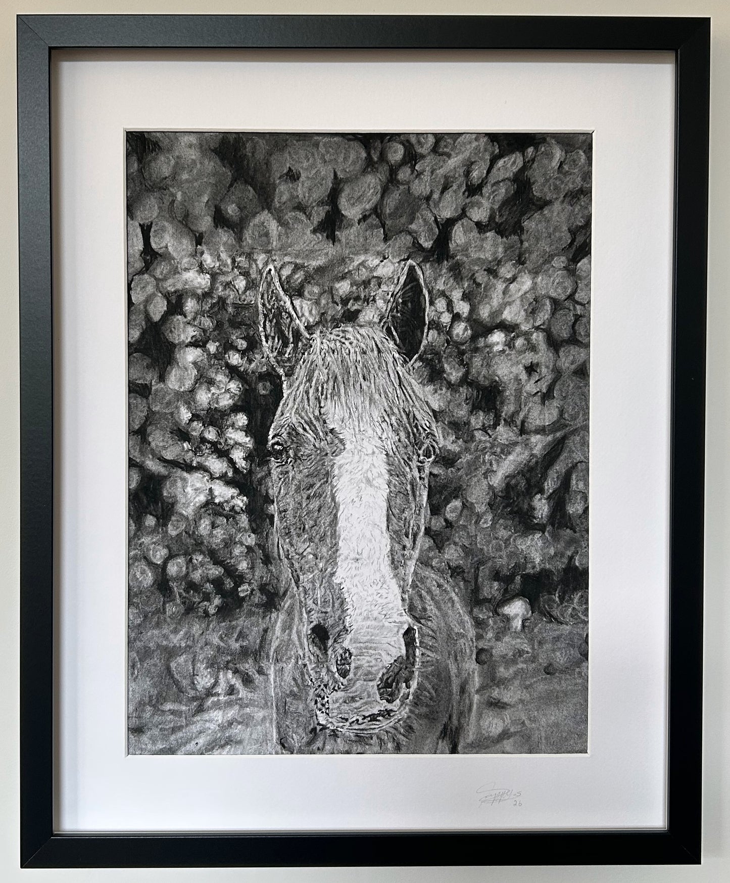 Charcoal Art by Poppy- personalised pet portraits