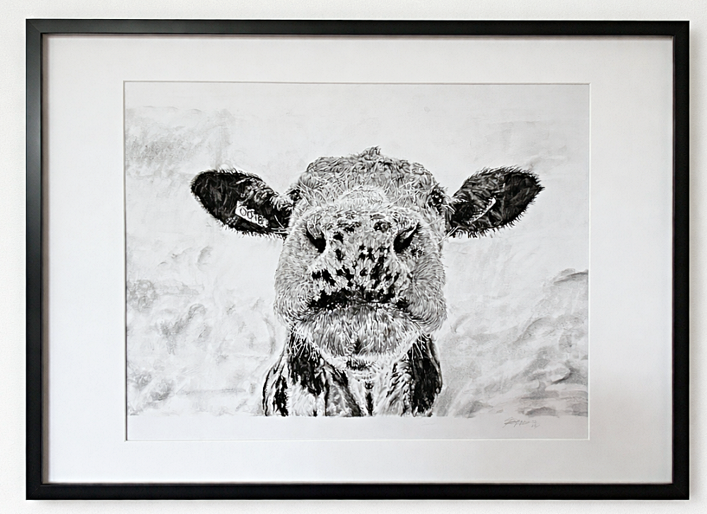 Hand drawn charcoal cow portrait commission from your photo