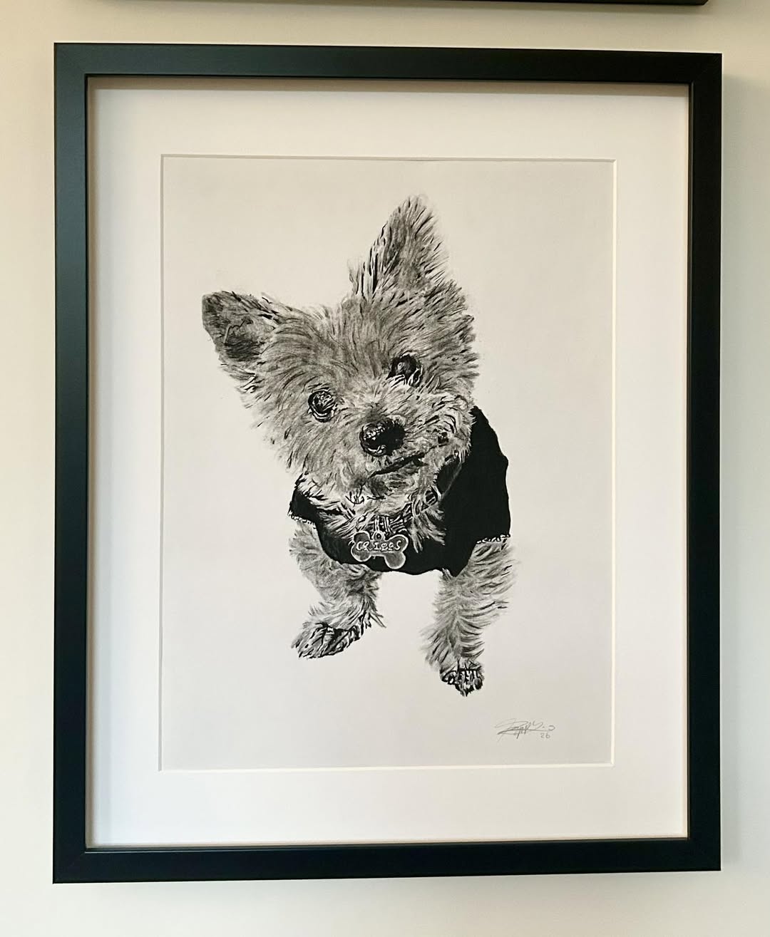 Charcoal Art by Poppy- personalised pet portraits