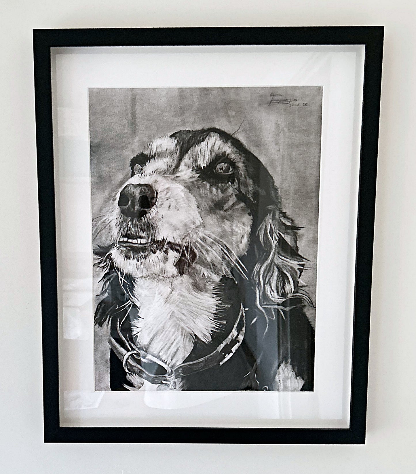 Charcoal Art by Poppy- personalised pet portraits