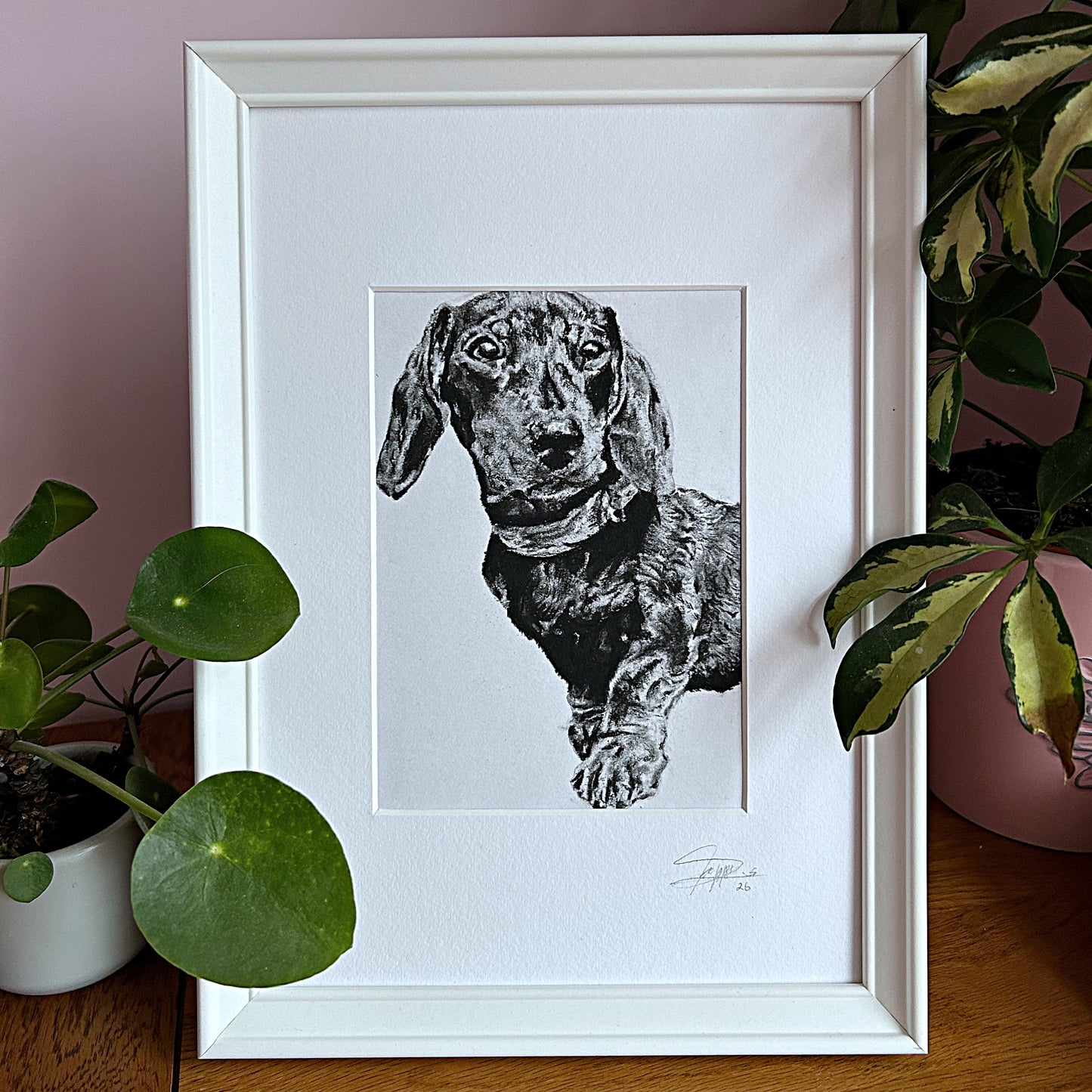 Charcoal Art by Poppy- personalised pet portraits