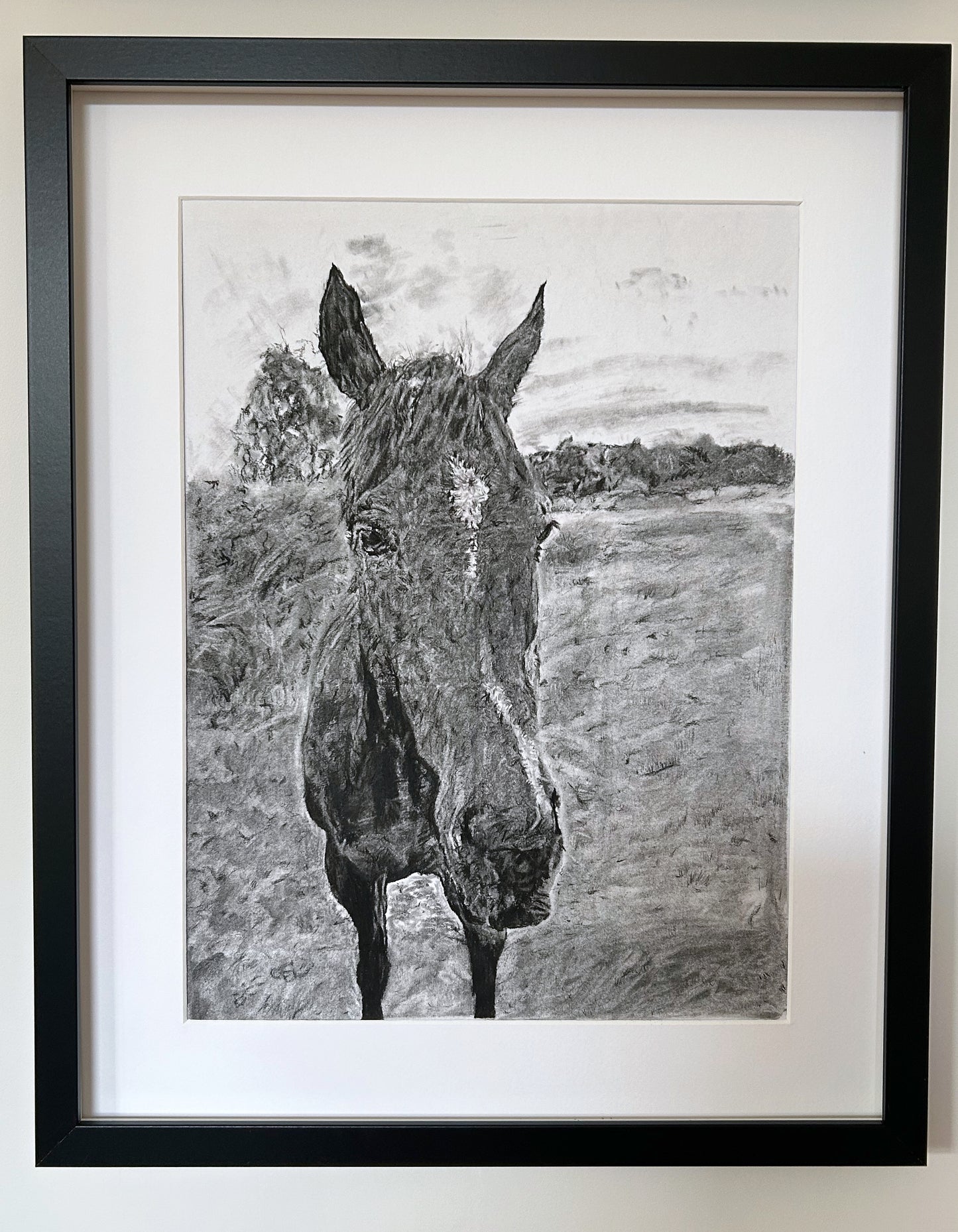 Charcoal Art by Poppy- personalised pet portraits