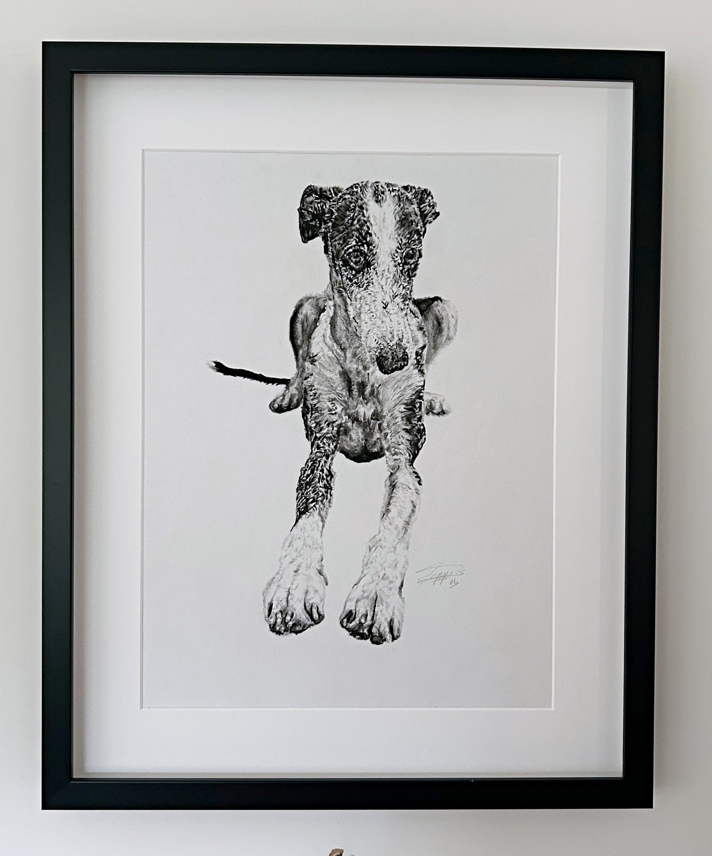 Charcoal Art by Poppy- personalised pet portraits