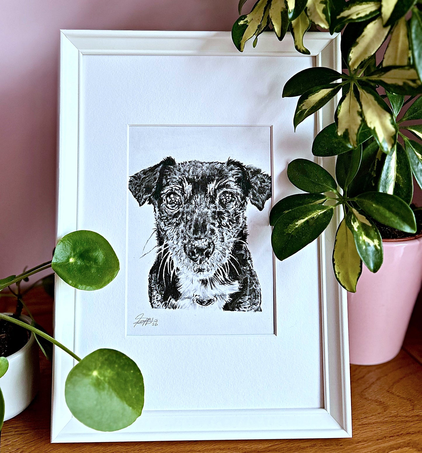Charcoal Art by Poppy- personalised pet portraits