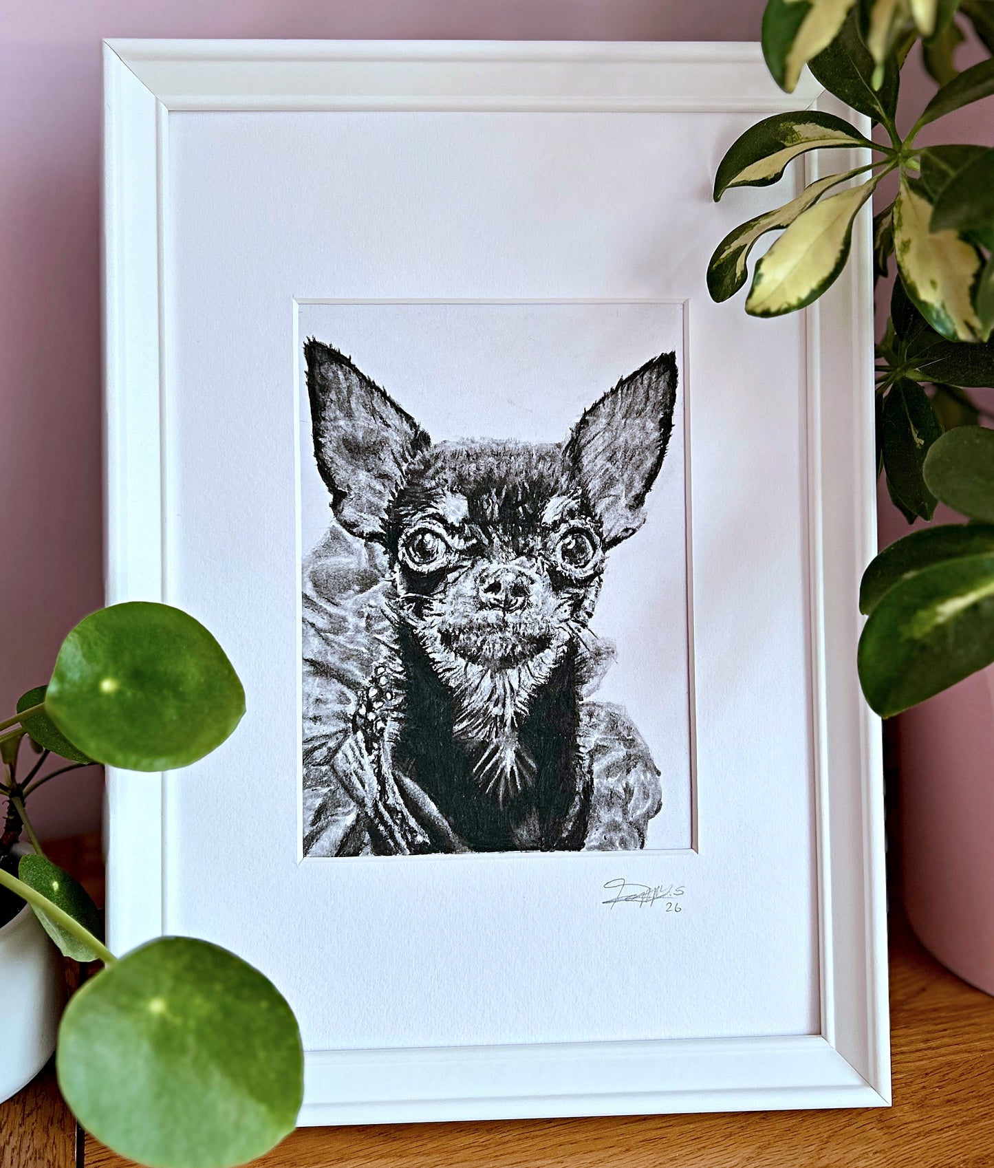 Charcoal Art by Poppy- personalised pet portraits